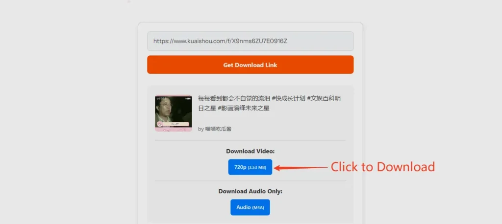 Kuaishou video downloader interface screenshot